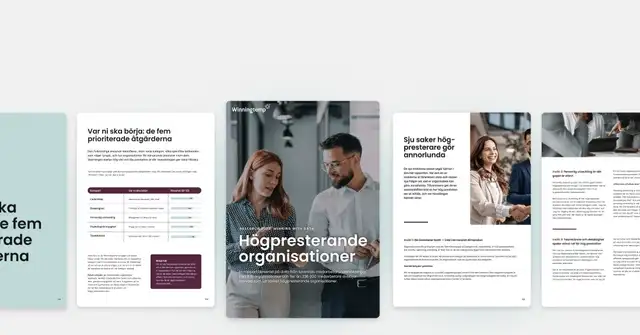Ladda ner ny rapport om högpresterande organisationer 👉 