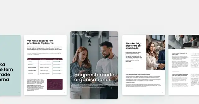 Ladda ner ny rapport om högpresterande organisationer 👉 