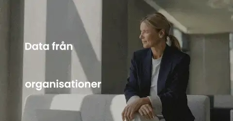 Winningtemp Data Report - ladda ner nu!